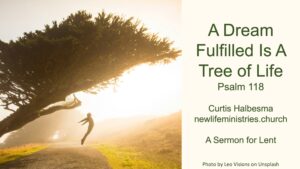 A Dream Fulfilled is a Tree of Life : Psalm 118 (Pictured: Person Leaping for joy under the canopy of a large tree)